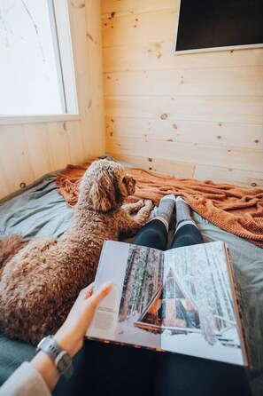 Interior - Scandinavian Retreat, Mountain View, and 20 Minutes to Asheville! (Swannanoa)