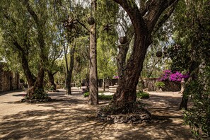 Overnattingsstedets uteområder