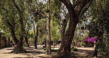 Above Meson I Wedding Perfection I Luxury I Historical & Incredible