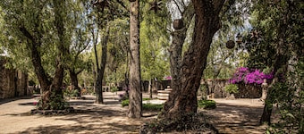 Above Meson I Wedding Perfection I Luxury I Historical & Incredible