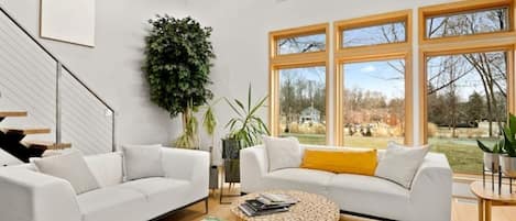 Smart TV, chimenea y monitor de computadora