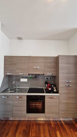 Deluxe Apartment | Private kitchen | Full-size fridge, oven, stovetop, espresso maker