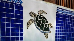 A swimming pool with a mosaic turtle design on the wall.
