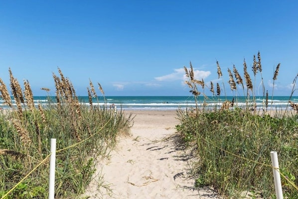 Playa en los alrededores y camastros