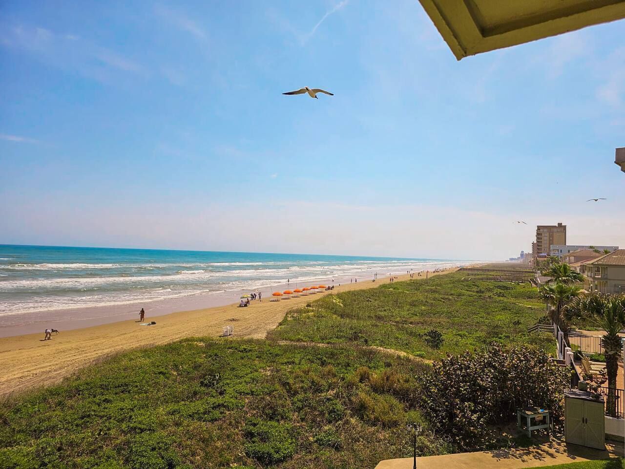 Accommodatie ligt op het strand, ligstoelen
