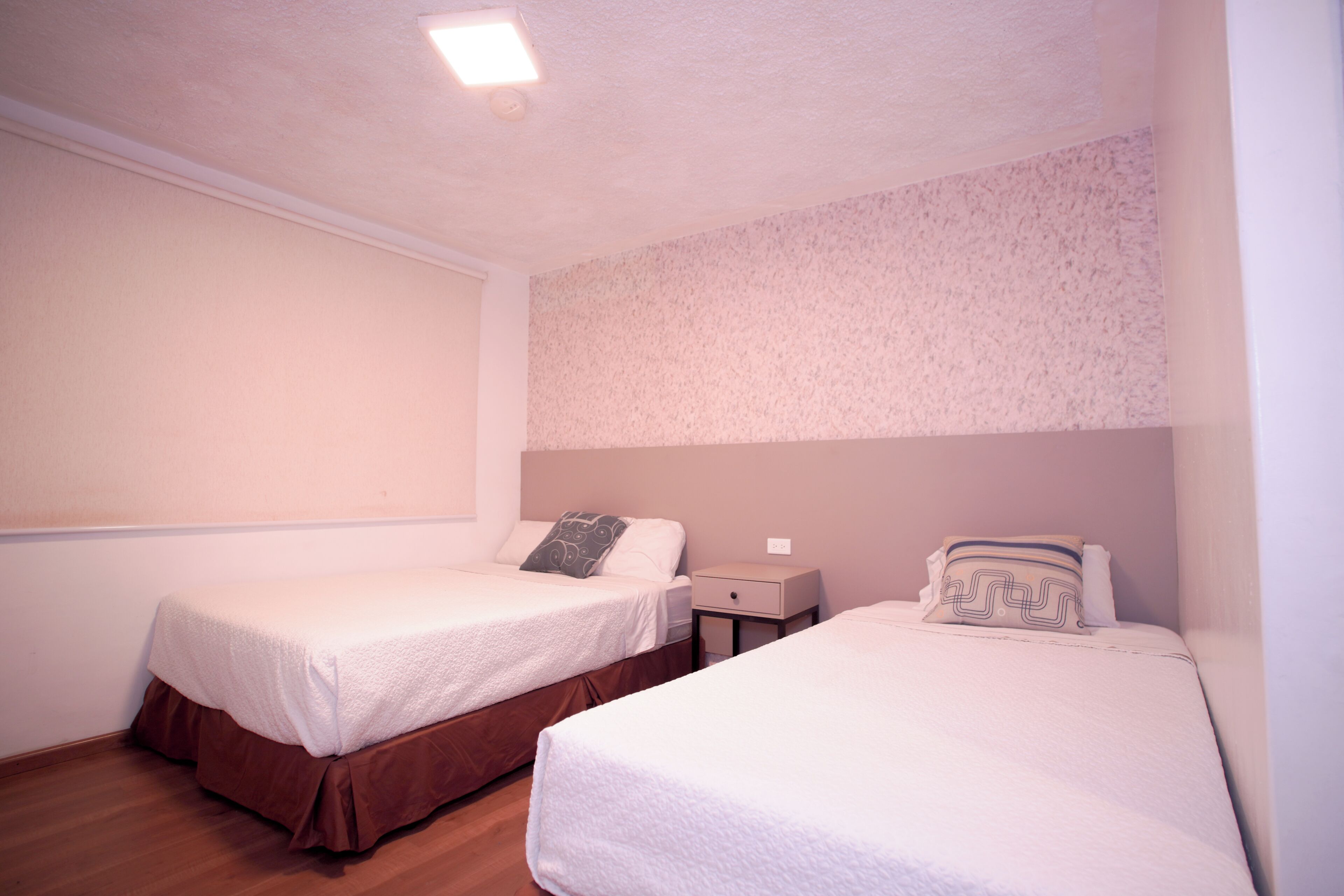 Foto - Hotel Cisne