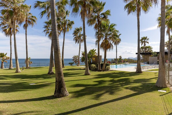 A pool area with palm trees and a view of the ocean.
