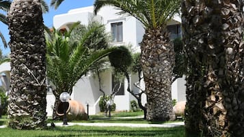 Detalle exterior
