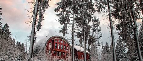 Un bâtiment rouge entouré de grands arbres couverts de neige.
