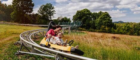A roller coaster with two passengers.