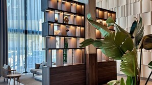 Un vestíbulo moderno con un mostrador de recepción de madera, una zona de estar con sofá y sillones, y una planta grande en maceta.