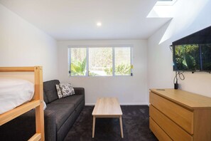 Télévision, cheminée, livres, espaces bureaux