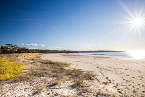 Nära stranden
