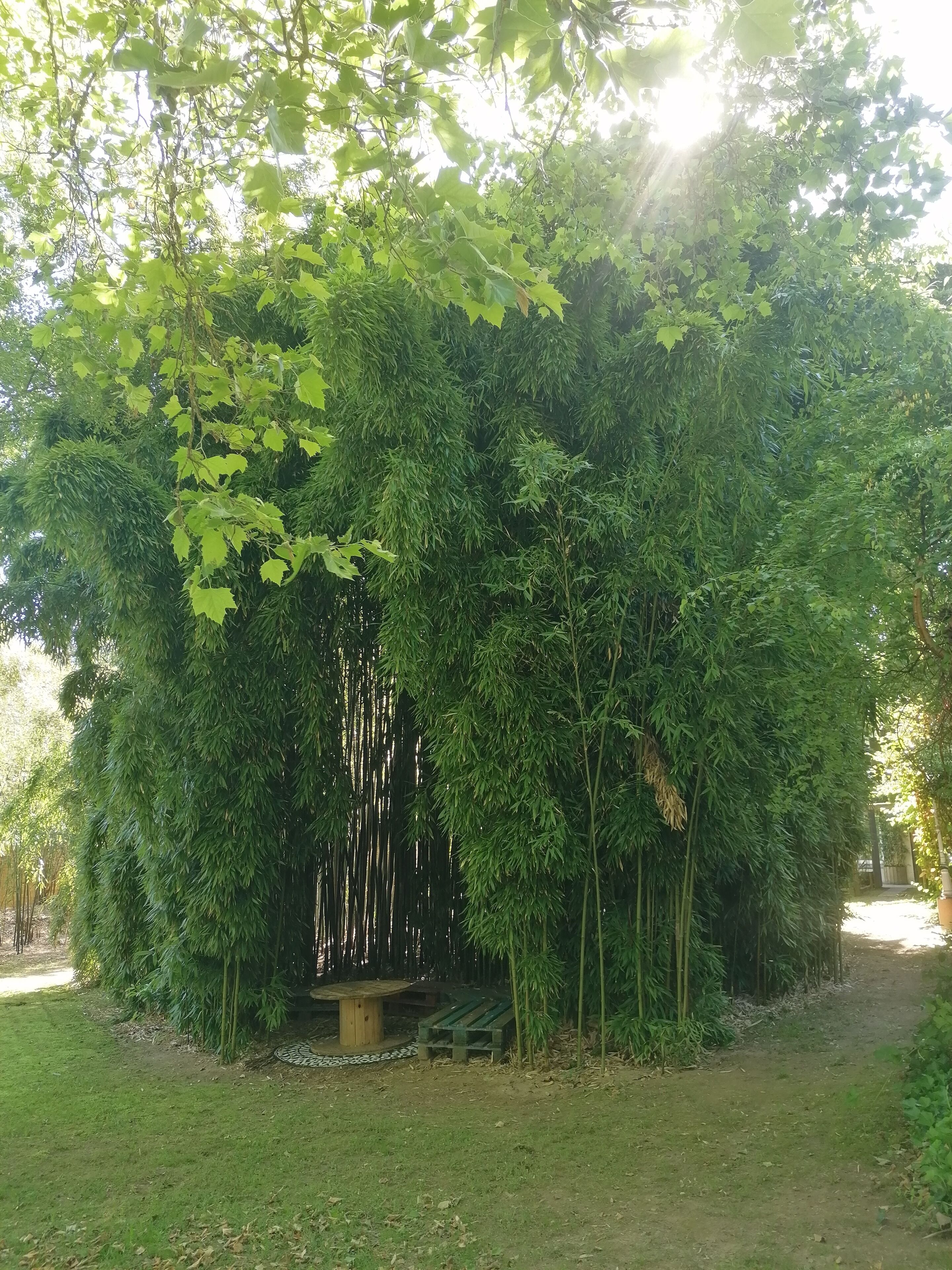 Enceinte de l’hébergement