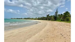Une plage avec un ciel dégagé et une mer calme.