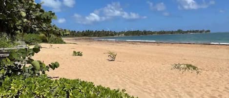 En la playa, camastros y toallas de playa