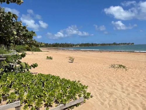 Penthouse By The Beach