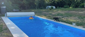 Appartement Avec Piscine Pour 4