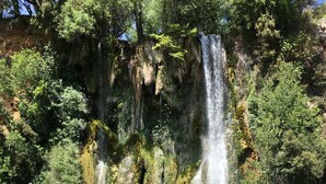 Ein Wasserfall stürzt in einen klaren, grünen Pool, umgeben von dichtem Grün.