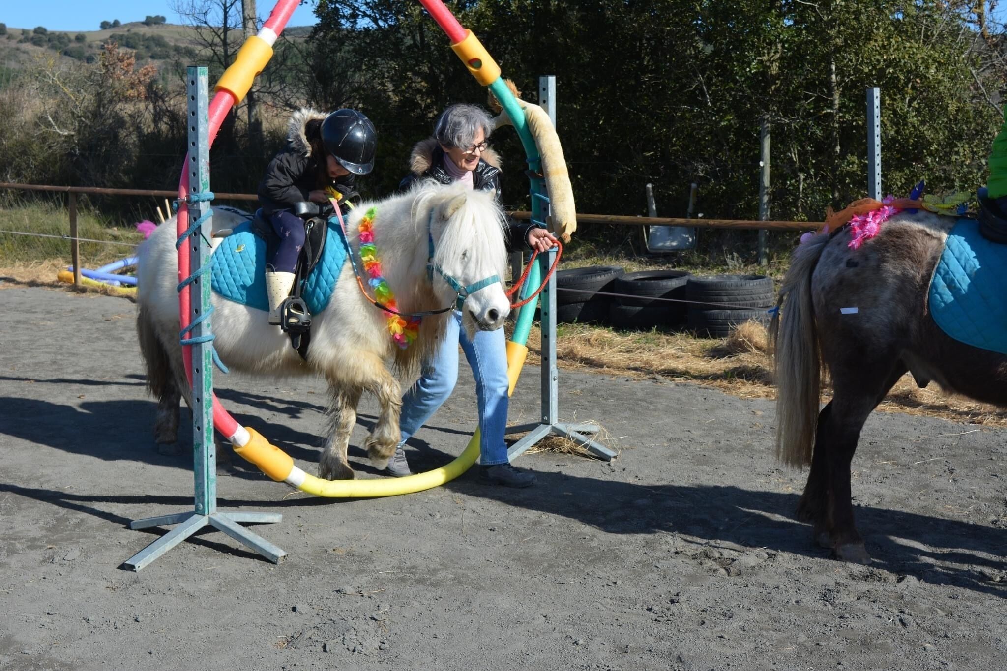 Ein Pony mit bunter Ausrüstung und einem Reiter mit Helm.