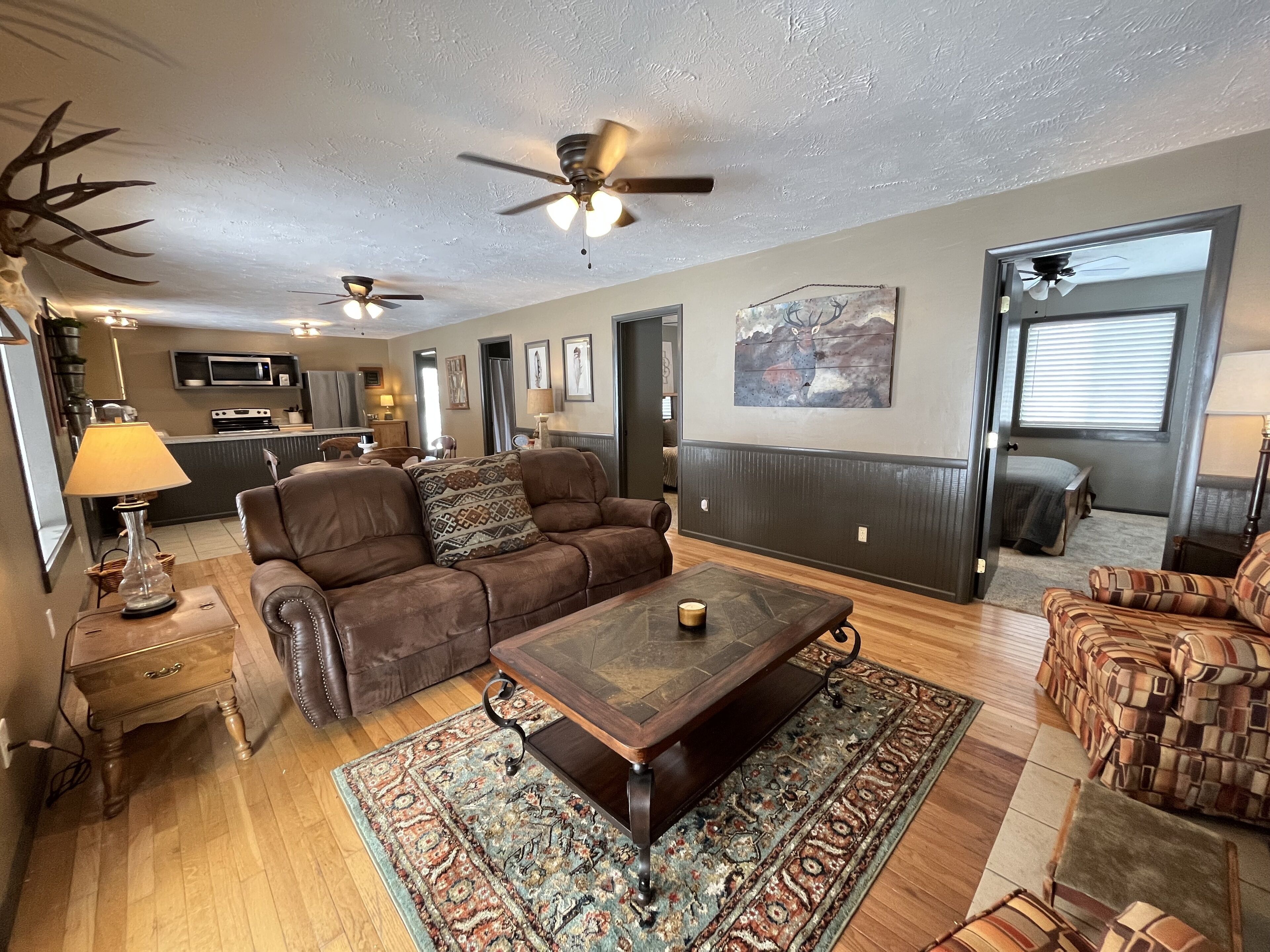 Smart TV, chimenea, reproductor de DVD y libros 