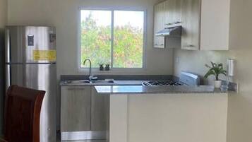 Căn hộ, nhiều giường | Bếp riêng | Tủ lạnh, lò vi sóng, lò nướng, bếp nấu