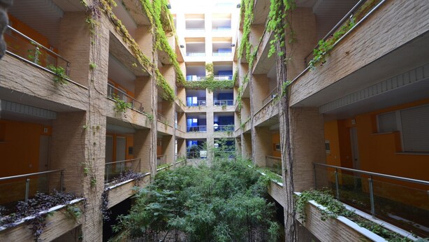 A multi-level atrium with vertical gardens and a central bamboo grove. - Espigón Poniente 7 - Two Bedroom Apartment, Sleeps 5 (Punta del moral)