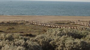 A wooden boardwalk leading to a beach with sparse vegetation in the foreground. - Espigón Poniente 7 - Two Bedroom Apartment, Sleeps 5 (Punta del moral)