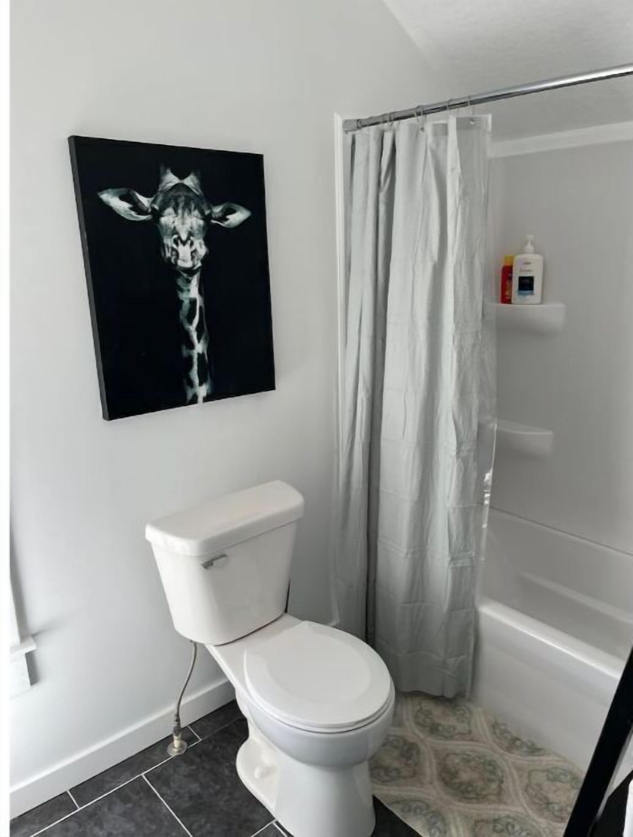 Ein Badezimmer mit Toilette, Duschvorhang und einem Giraffenbild an der Wand.