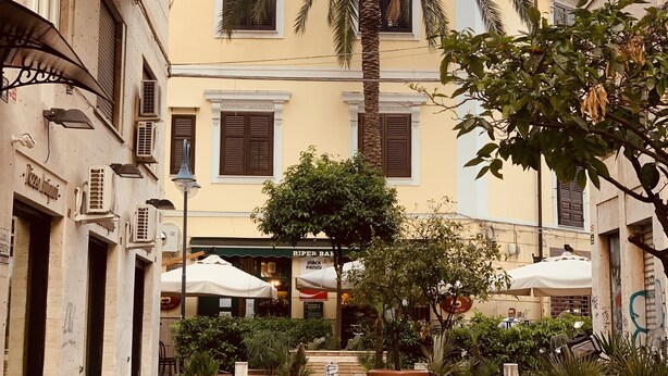Un patio con plantas en macetas, una palmera y un edificio con un cartel de bar.