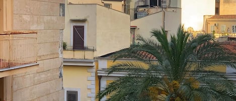 A building with a dome and arched windows, a palm tree in the foreground, and a balcony with a railing.