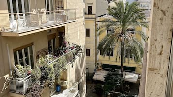 Vista desde la propiedad