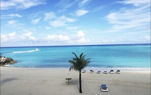Una playa con una palmera, una fila de sillas de playa y un bote en el agua.