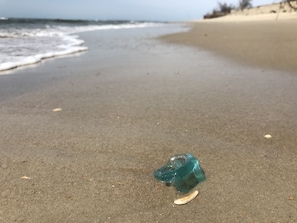 Eine Strandansicht mit einem grünen Stück Glas und einer Muschel im Sand.