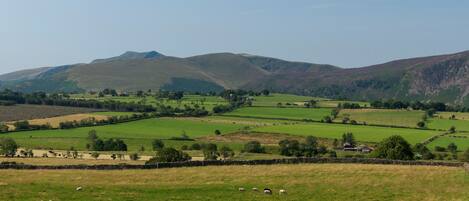 A rural landscape with rolling hills, green fields, and scattered sheep.