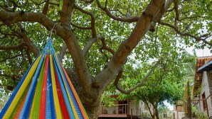 Un hamac est suspendu à un arbre dans une cour, et un chemin mène à un bâtiment.