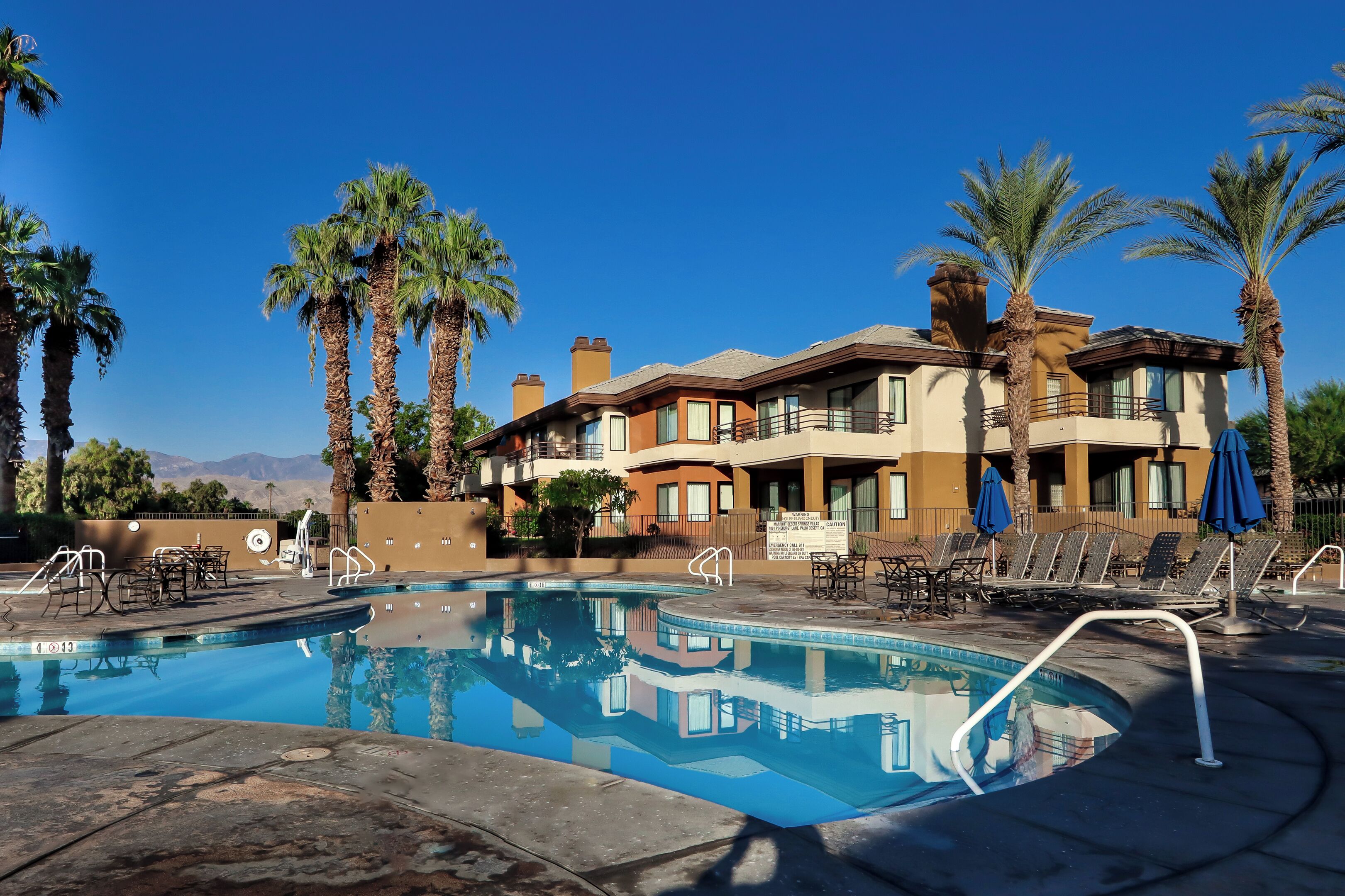 A pool area with lounge chairs and palm trees.