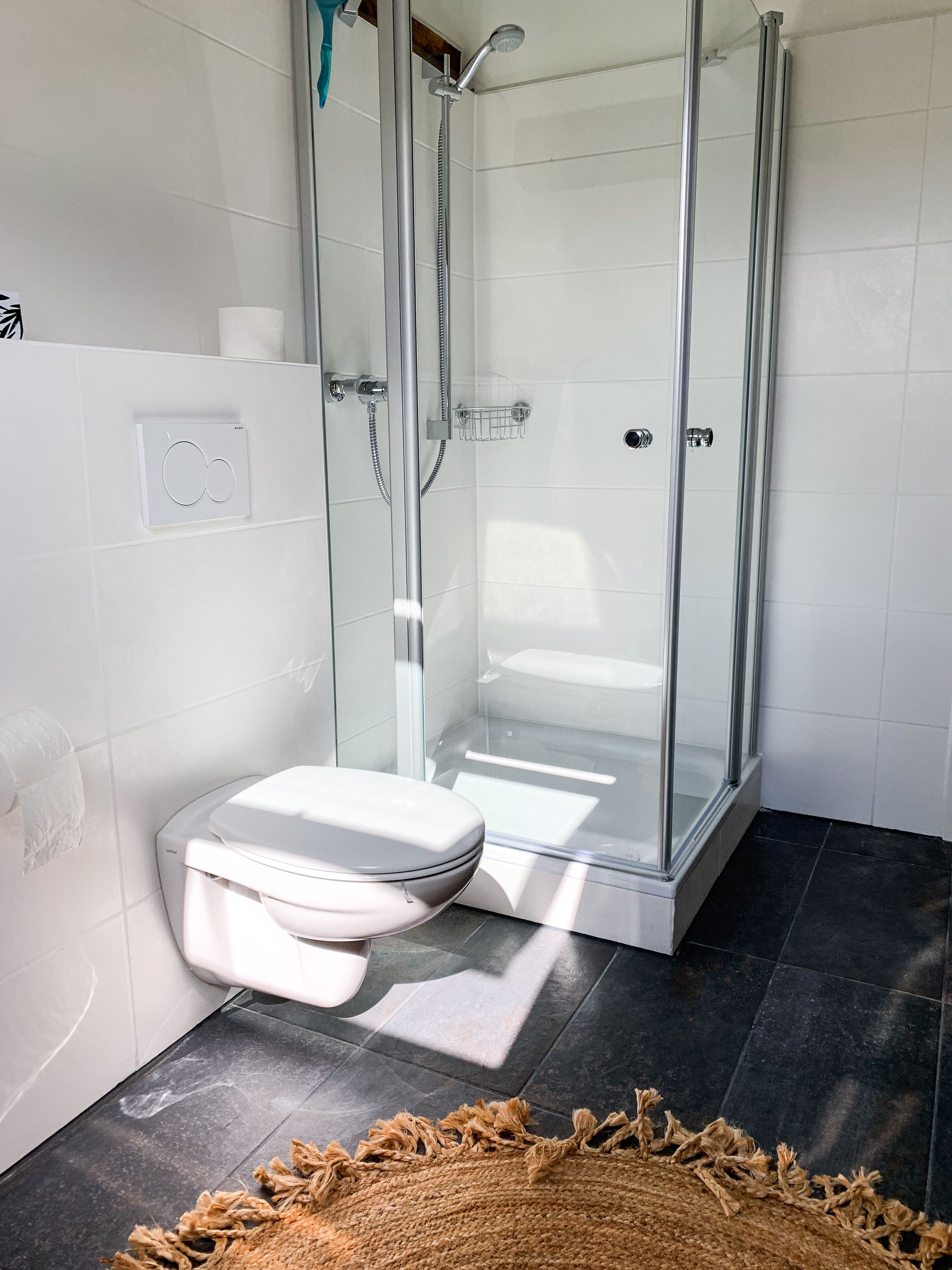 Ein Badezimmer mit einer Duschkabine, einer Toilette und einem Handtuchhalter.
