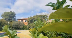 المنطقة المحيطة بالمنشأة