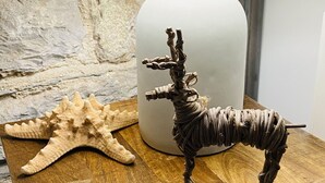 A wooden table with a decorative deer figurine and a starfish. A white lamp with a beige lampshade is behind the figurine. - The Bruce @ RWY Studio - sleeps 4 guests  in 1 bedroom (Plymouth)