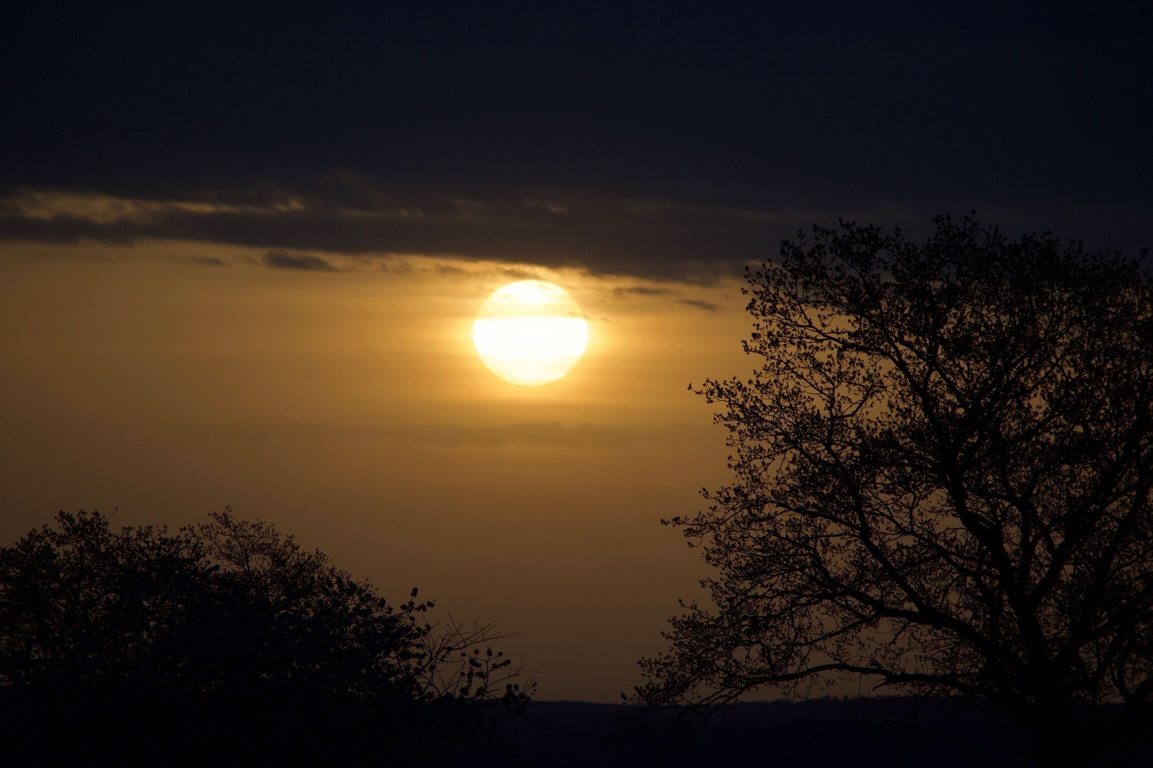 Un atardecer con un sol grande, parcialmente oculto por nubes, siluetas de árboles y un cielo despejado.