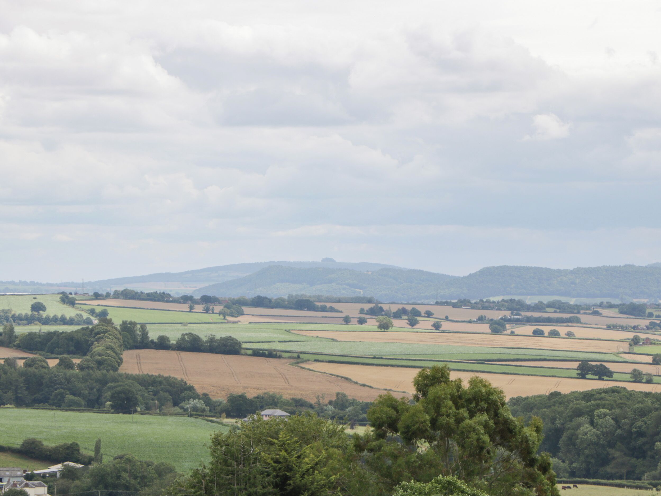 A rural landscape with fields, trees, and distant hills.