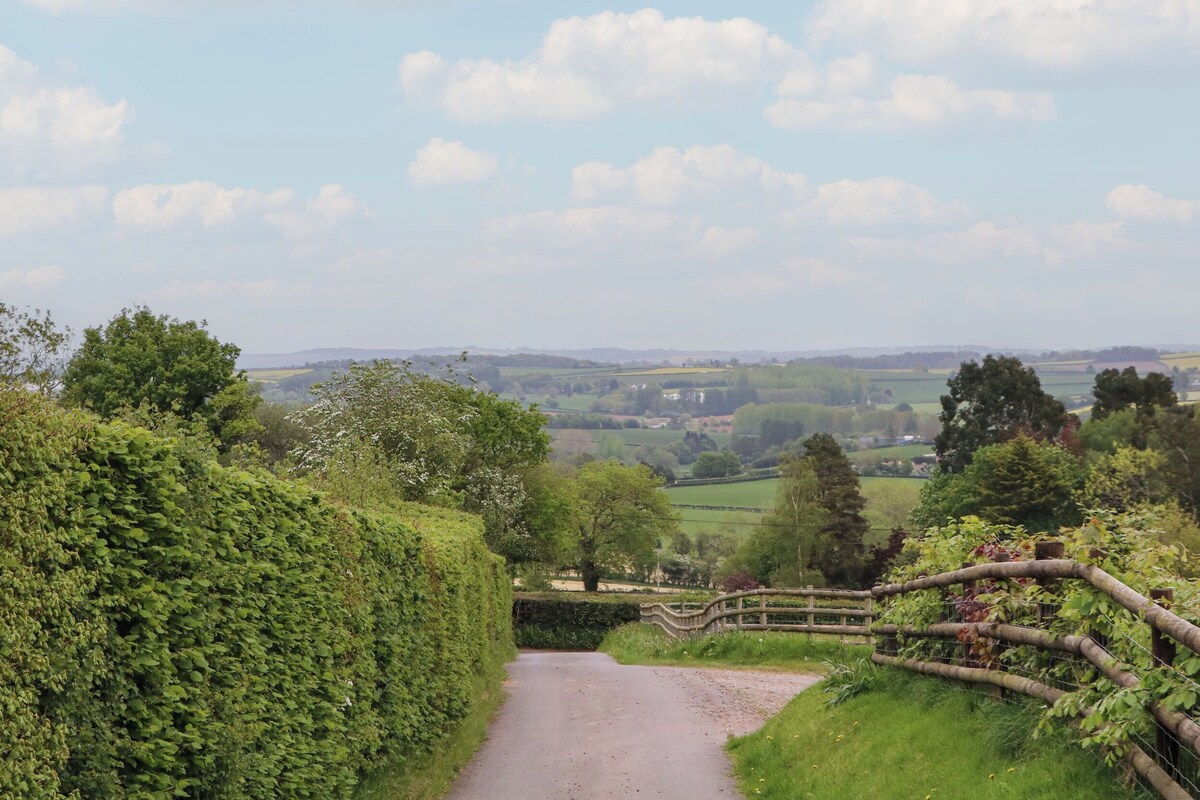 A rural landscape with a gravel path, a wooden fence, and a hedge.