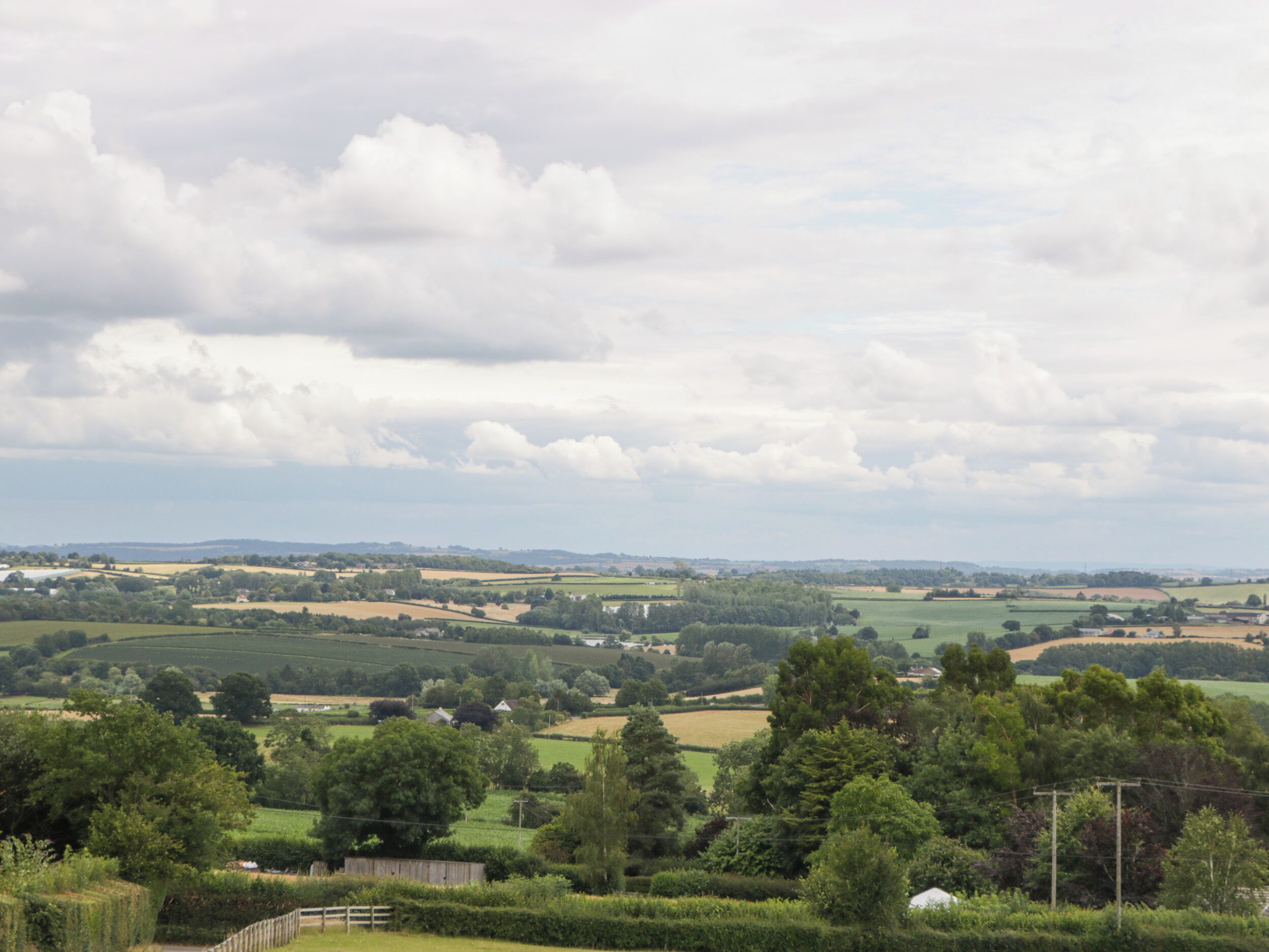 A rural landscape with rolling fields, scattered trees, and a cloudy sky.