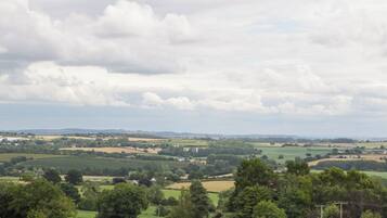 A rural landscape with rolling fields, scattered trees, and a cloudy sky.