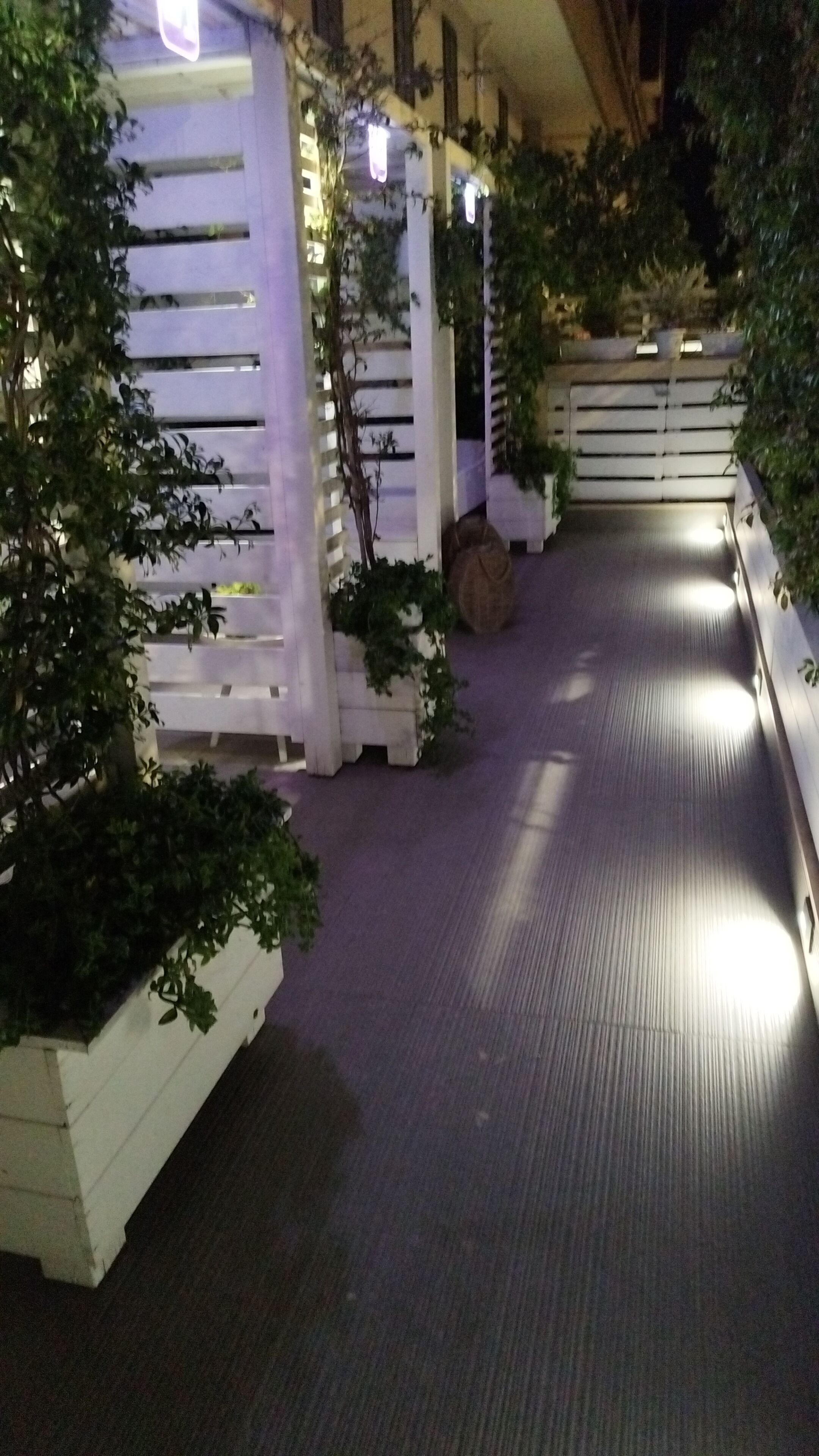 A pathway lined with white planters and greenery, leading to a building entrance.