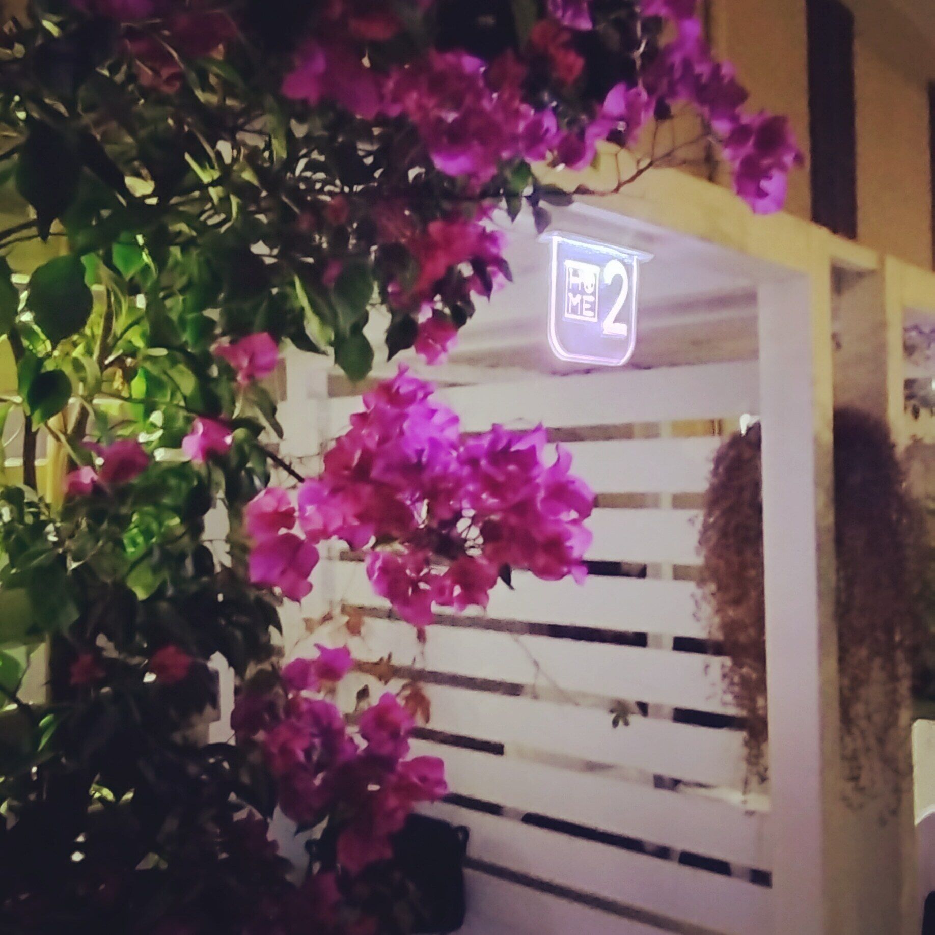 Una estructura blanca con un letrero de neón que dice "HOME 2" y flores rosas en primer plano.