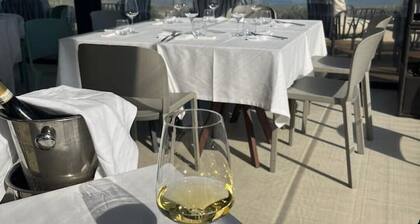 Vineyard Farmhouse in Massignano - just minutes from the beach