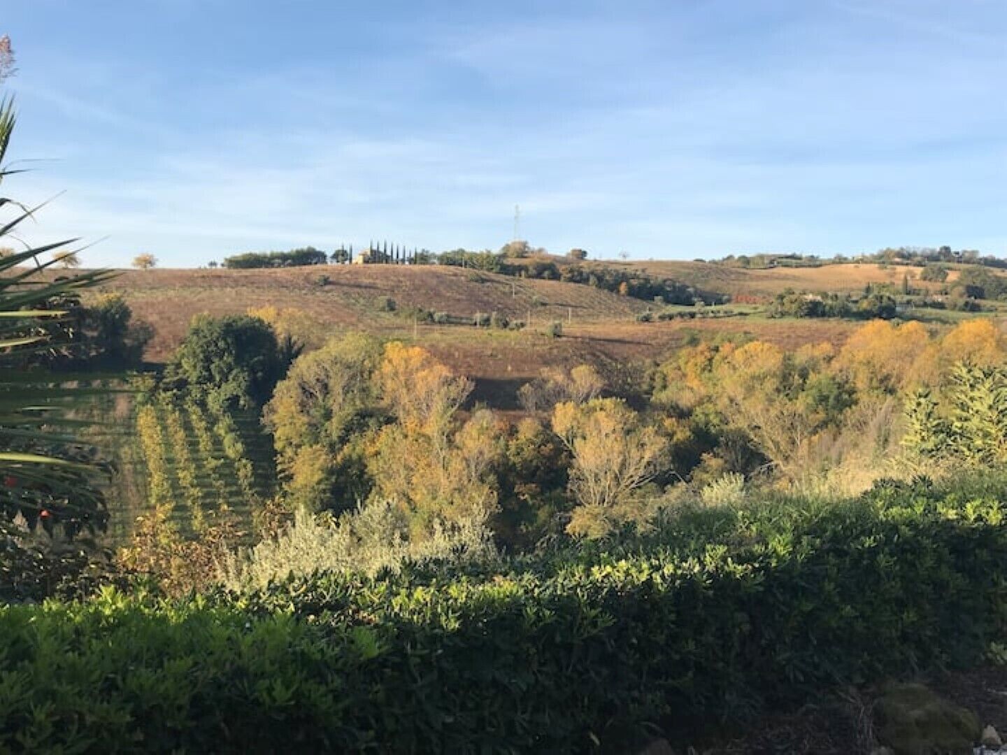 A rural landscape with rolling hills, scattered trees, and a clear sky.
