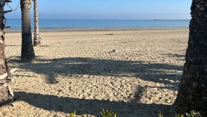 Ein sandiger Strand mit Palmen und blauem Himmel.